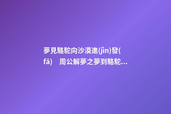 夢見駱駝向沙漠進(jìn)發(fā)　周公解夢之夢到駱駝向沙漠進(jìn)發(fā)